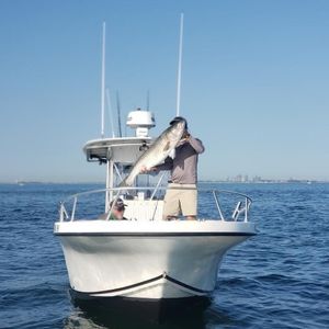 Boston Fishing Trips, Striped Bass